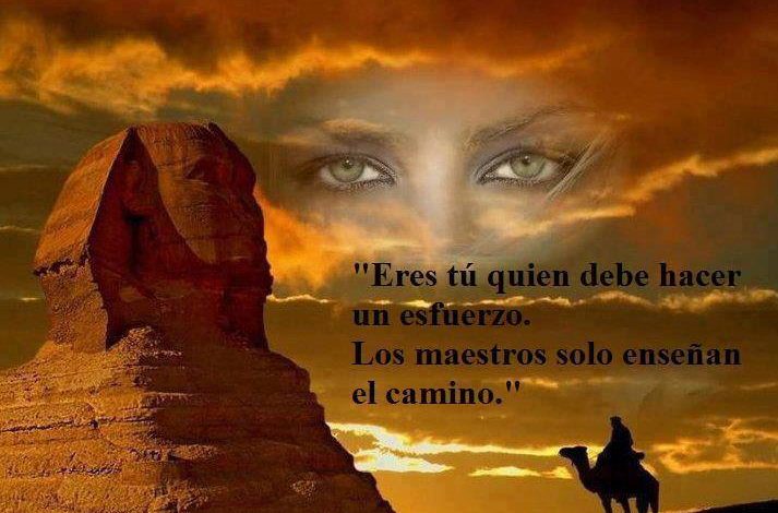 Películas espirituales para el despertar de consciencia Películas espirituales para el despertar de consciencia