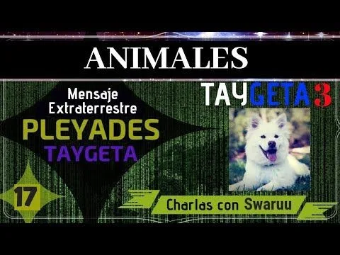 Sociedad Taygeteana PARTE 3: Animales y Sufrimiento Animal (17)