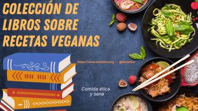 Colección de recetas Veganas