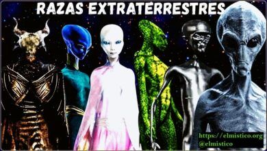 Razas Extraterrestres segun Mari Swaruu