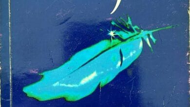 Citas Seleccionadas de "Ilusiones" de Richard Bach