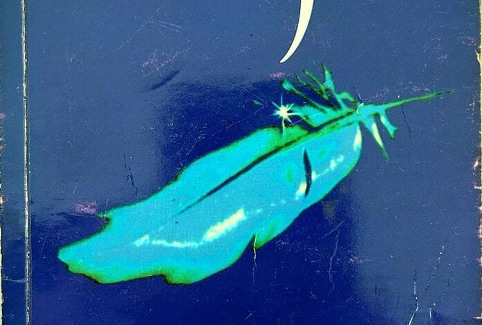 Citas Seleccionadas de "Ilusiones" de Richard Bach